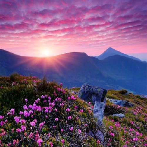 اوزان احمدوف سنده منیم تک آغلادینمی